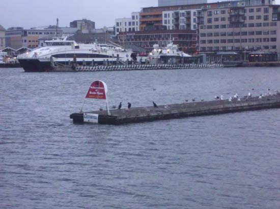 Bodø havn