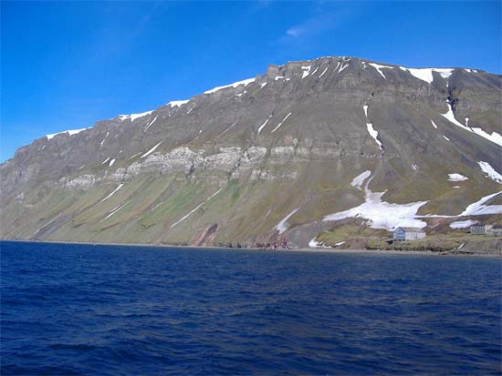 Fuglefjell på Svalbard